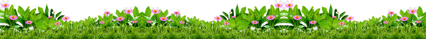 grass
